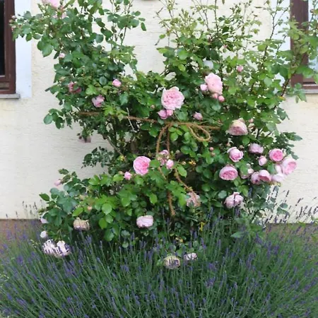 Biohof Schmiedbauer Διαμέρισμα