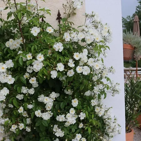 Διαμέρισμα Biohof Schmiedbauer *