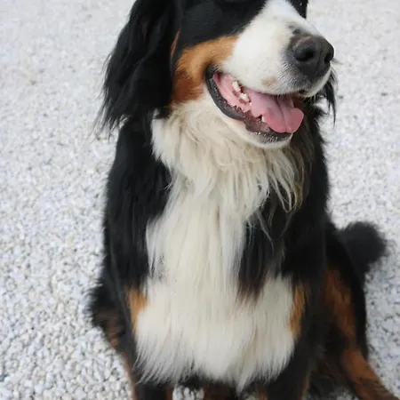 Διαμέρισμα Biohof Schmiedbauer