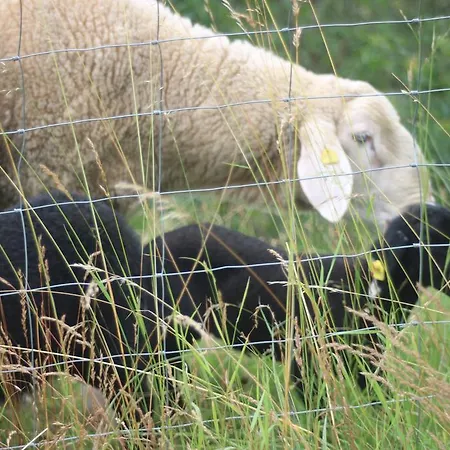 Biohof Schmiedbauer *