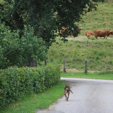 Daire Biohof Schmiedbauer Sankt Martin (Carinthia)