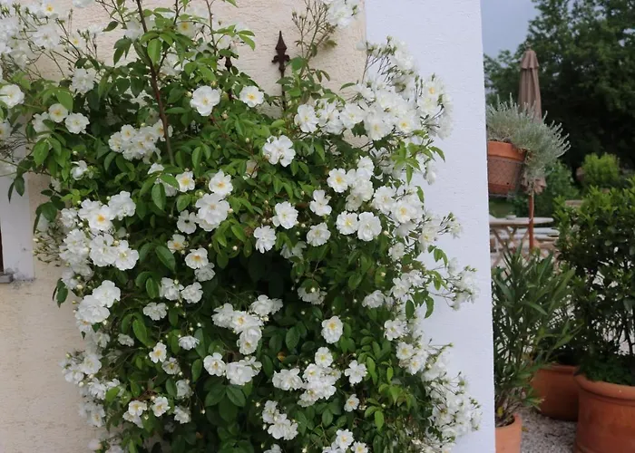 Daire Biohof Schmiedbauer *