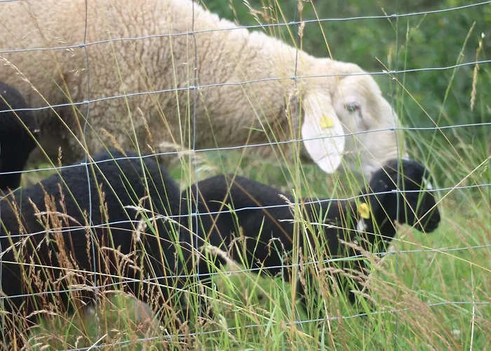 Biohof Schmiedbauer *