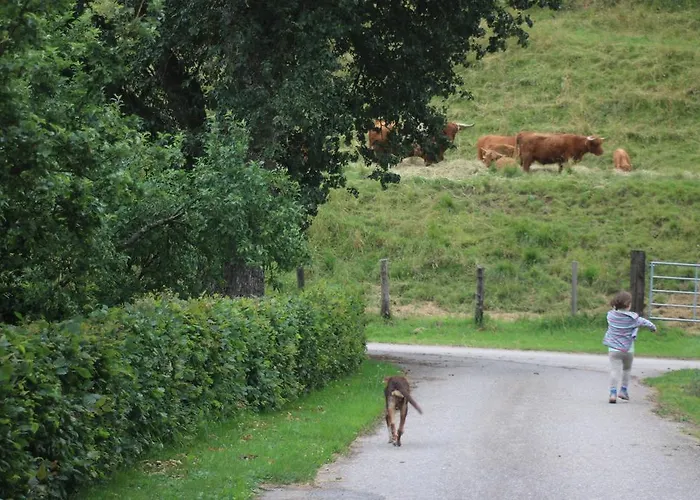 Daire Biohof Schmiedbauer Sankt Martin (Carinthia)