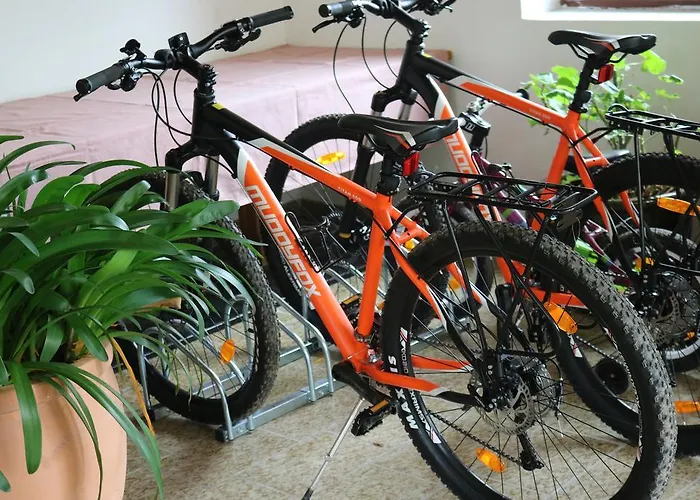 Biohof Schmiedbauer Daire *