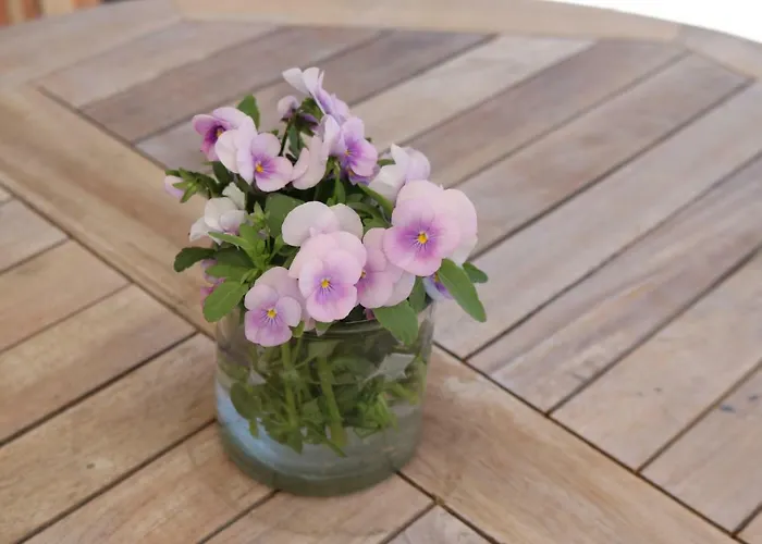 Daire Biohof Schmiedbauer Sankt Martin (Carinthia)