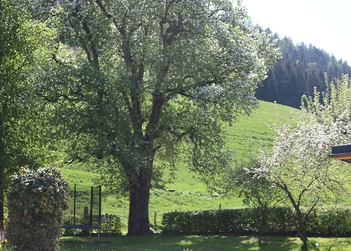 Daire Biohof Schmiedbauer Sankt Martin (Carinthia)