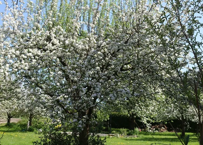 Daire Biohof Schmiedbauer *